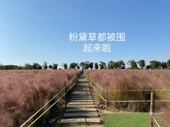 -花博汇(知音花月夜)