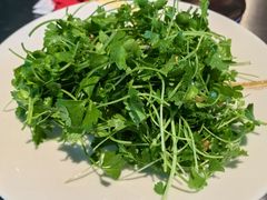 -No.DD戳子烧烤·江湖菜(北京总店)