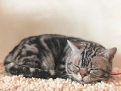 -小时光咖啡馆(北锣鼓巷店)