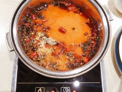 -龙福成肥牛火锅(文昌店)