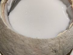 椰子冻-姚姚酸菜鱼·金戈戈香港豉油鸡(喜荟城联名店)
