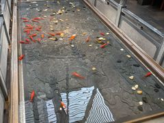 -四季民福烤鸭店(前门店)