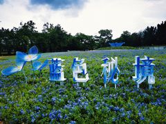 -海上田园