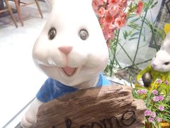 -苗小坛酸汤鱼(酒仙桥店)