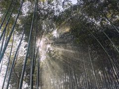 -天目湖涵田度假村