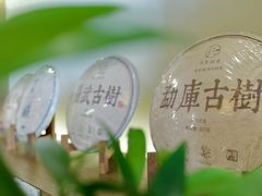 -小茶闲舍·观景商务茶馆(广州塔店)