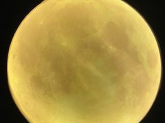 -深圳独角兽星空艺术馆