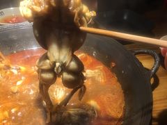 -老天桥蛙炉火锅(姑苏总店)