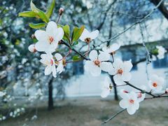 -山东师范大学(千佛山校区)