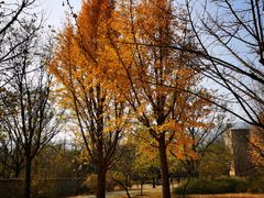 -国家植物园南园