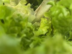 -郭记烤肉创始店(民丰大街店)