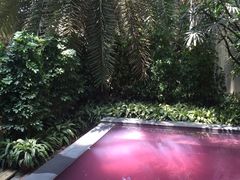 -仁爱团泊湖温泉中心