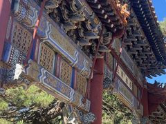 -潭柘寺景区