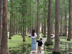 -渌洋湖湿地公园