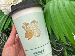 -巴公房子