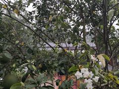 -云里小坐·小院里·团建·宴请·下午茶(三圣乡店)
