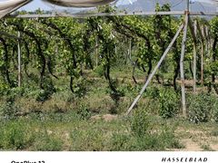 -亲兄弟真人CS团建拓展基地