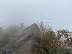 -秦岭风景区
