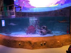 -沈阳海洋探索中心