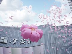 -金茂览秀城