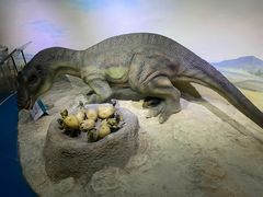 -国家自然博物馆