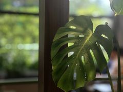 -小西家作(富力爱丁堡店)