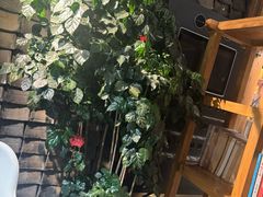-茶肆(仙林店)