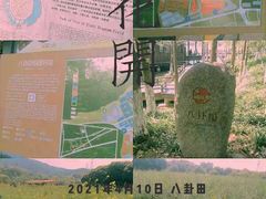 -八卦田遗址公园