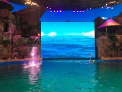 -芜湖新华联大白鲸海洋公园