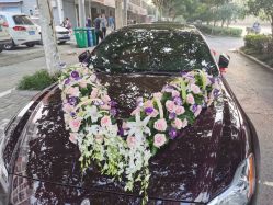 -蚂蚁婚车