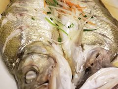 -老东吴食府(雅都店)