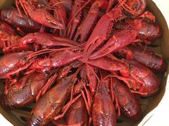 -怪怪龙虾·澳洲蓝龙王·深夜食堂(惊驾路店)