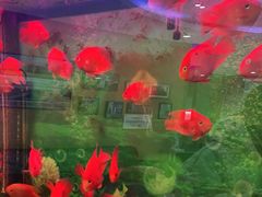 -雅悦齿科(顾村公园店)