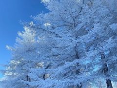 -北京南山滑雪场