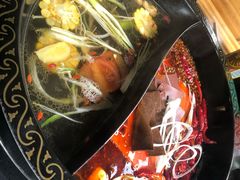 -渝大龙重庆火锅(温泉月亮湾店)