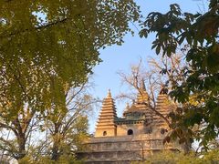 -北京石刻艺术博物馆(五塔寺)