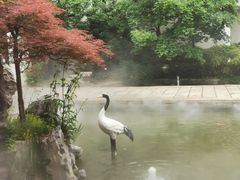 -广富林宰相府酒店·水云间