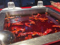 -二荆条·蜀鲜汇城市森林火锅