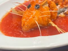 -丁老爷子苏香圆