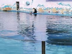 -北戴河圣蓝海洋公园