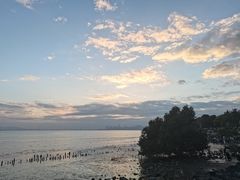 -深圳湾公园(南山区)