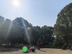 -重庆彩云湖湿地公园