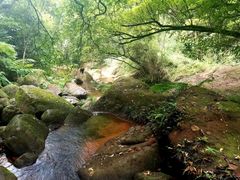 -赤水丹霞旅游区·佛光岩