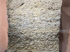 -烟台市博物馆