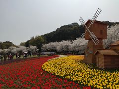 -苏州上方山国家森林公园