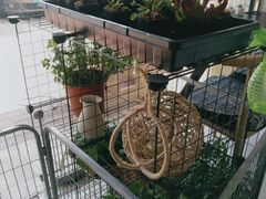 -平行世界·猫咖(首经贸店)