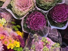 -越秀西湖花市(广州城市广场花卉店)