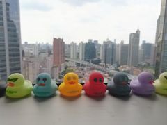 -新航道雅思托福·留学·考研培训(人民广场校区)