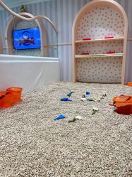 -奈尔宝·儿童乐园·亲子餐厅(苏州大悦城店)