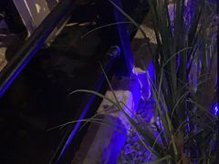 -绿茶餐厅(昆明世纪金源店)